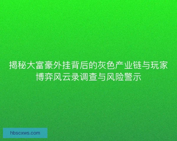 揭秘大富豪外挂背后的灰色产业链与玩家博弈风云录调查与风险警示
