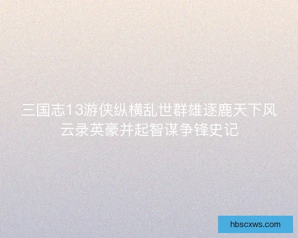 三国志13游侠纵横乱世群雄逐鹿天下风云录英豪并起智谋争锋史记